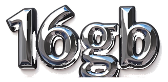 16gb logo
